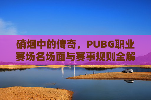 硝烟中的传奇,PUBG职业赛场名场面与赛事规则全解析