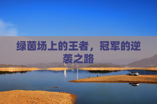 绿茵场上的王者,冠军的逆袭之路