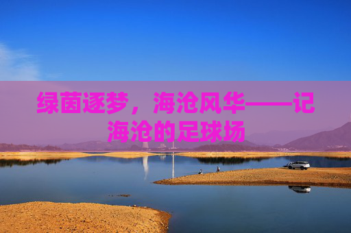 绿茵逐梦,海沧风华——记海沧的足球场