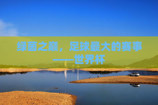绿茵之巅,足球最大的赛事——世界杯