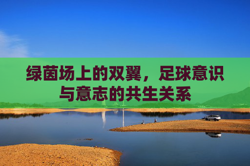 绿茵场上的双翼,足球意识与意志的共生关系