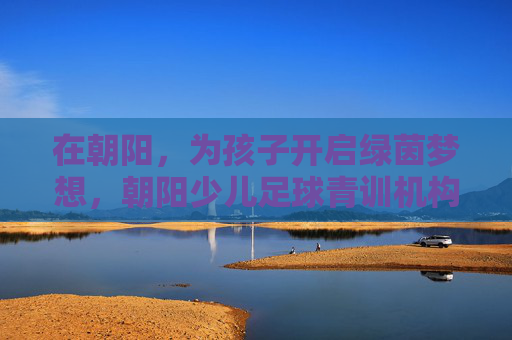 在朝阳,为孩子开启绿茵梦想,朝阳少儿足球青训机构深度解析
