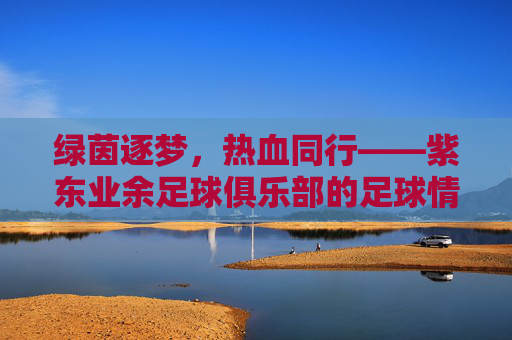 绿茵逐梦,热血同行——紫东业余足球俱乐部的足球情怀
