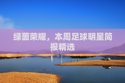 绿茵荣耀,本周足球明星简报精选
