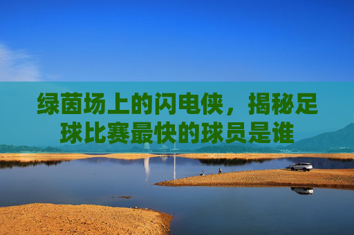 绿茵场上的闪电侠,揭秘足球比赛最快的球员是谁