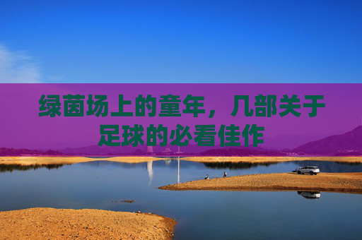 绿茵场上的童年,几部关于足球的必看佳作