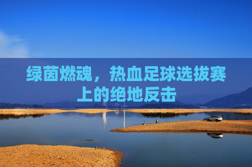 绿茵燃魂,热血足球选拔赛上的绝地反击