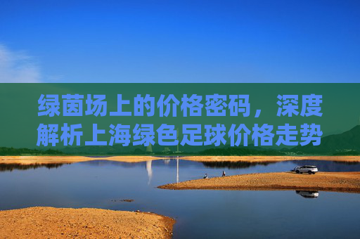 绿茵场上的价格密码,深度解析上海绿色足球价格走势与未来趋势