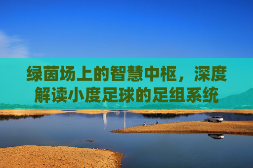 绿茵场上的智慧中枢,深度解读小度足球的足组系统