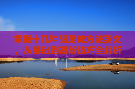 掌握十几种踢足球方法英文,从基础到高阶技巧全解析