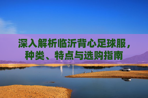 深入解析临沂背心足球服,种类、特点与选购指南