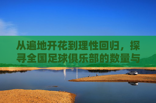 从遍地开花到理性回归,探寻全国足球俱乐部的数量与生态变迁