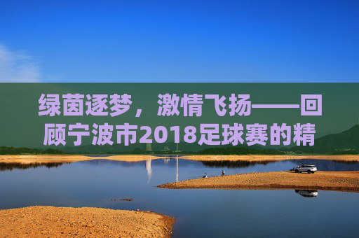 绿茵逐梦,激情飞扬——回顾宁波市2018足球赛的精彩瞬间
