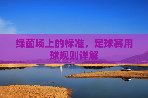 绿茵场上的标准,足球赛用球规则详解