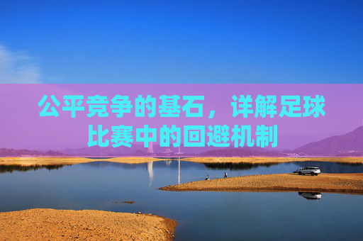 公平竞争的基石，详解足球比赛中的回避机制