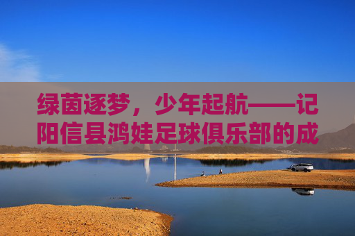 绿茵逐梦，少年起航——记阳信县鸿娃足球俱乐部的成长之路