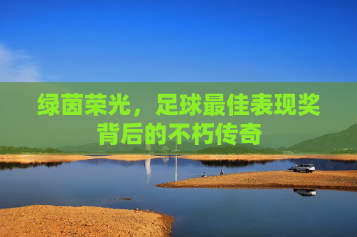 绿茵荣光，足球最佳表现奖背后的不朽传奇