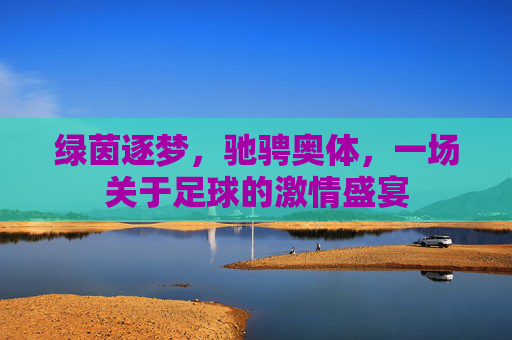 绿茵逐梦,驰骋奥体,一场关于足球的激情盛宴