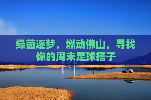 绿茵逐梦,燃动佛山,寻找你的周末足球搭子