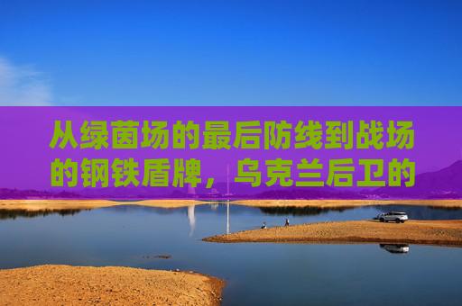 从绿茵场的最后防线到战场的钢铁盾牌,乌克兰后卫的参军抉择