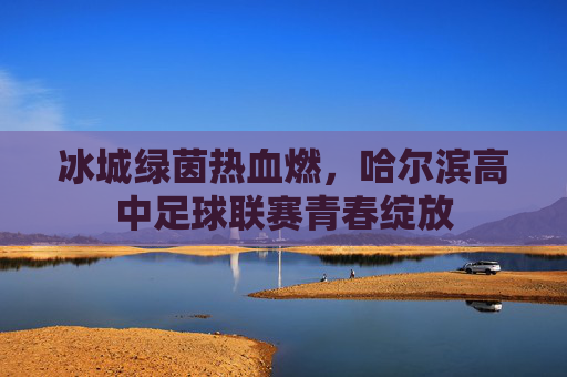 冰城绿茵热血燃，哈尔滨高中足球联赛青春绽放