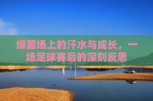 绿茵场上的汗水与成长,一场足球赛后的深刻反思