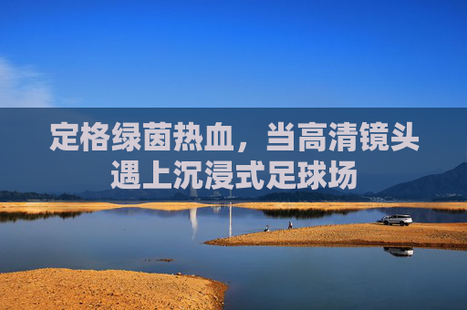 定格绿茵热血，当高清镜头遇上沉浸式足球场