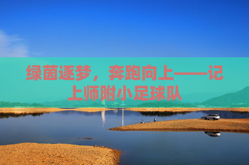 绿茵逐梦,奔跑向上——记上师附小足球队