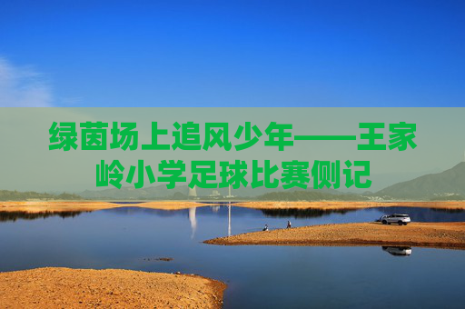 绿茵场上追风少年——王家岭小学足球比赛侧记