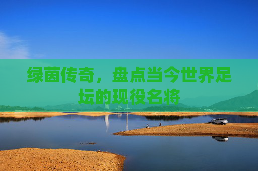 绿茵传奇,盘点当今世界足坛的现役名将