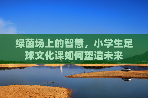 绿茵场上的智慧，小学生足球文化课如何塑造未来