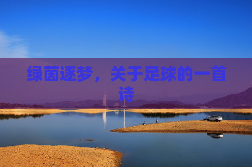 绿茵逐梦,关于足球的一首诗