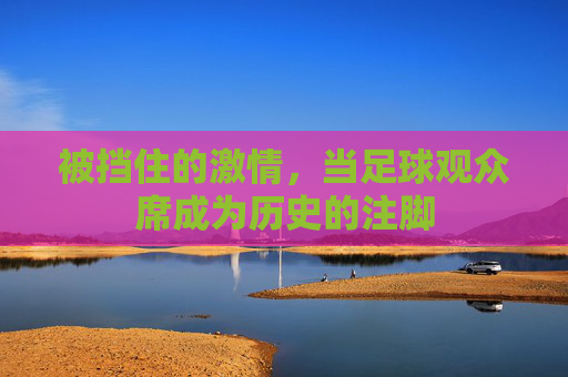 被挡住的激情，当足球观众席成为历史的注脚