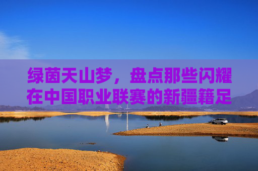 绿茵天山梦，盘点那些闪耀在中国职业联赛的新疆籍足球球员