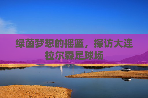 绿茵梦想的摇篮,探访大连拉尔森足球场