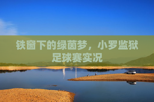 铁窗下的绿茵梦，小罗监狱足球赛实况