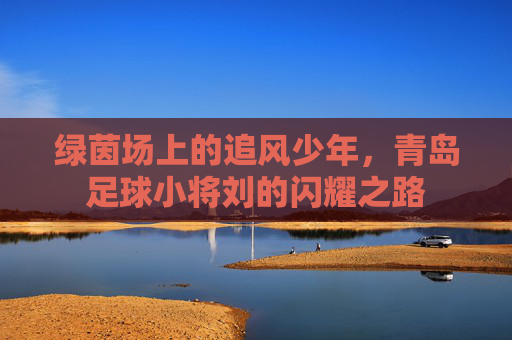 绿茵场上的追风少年,青岛足球小将刘的闪耀之路