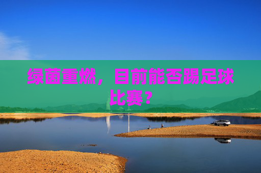绿茵重燃,目前能否踢足球比赛?