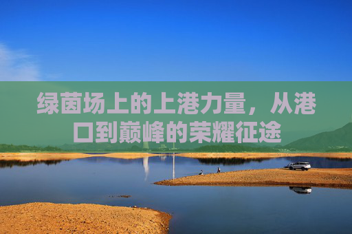 绿茵场上的上港力量，从港口到巅峰的荣耀征途