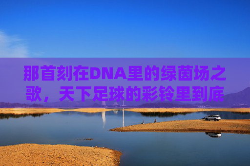 那首刻在DNA里的绿茵场之歌,天下足球的彩铃里到底藏着什么?