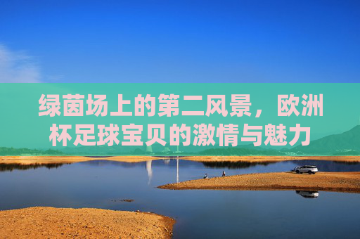 绿茵场上的第二风景，欧洲杯足球宝贝的激情与魅力