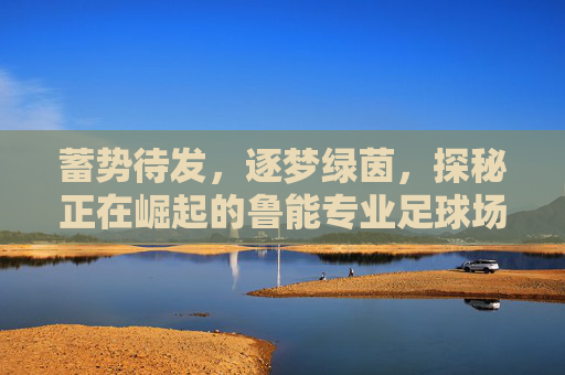 蓄势待发，逐梦绿茵，探秘正在崛起的鲁能专业足球场