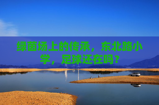 绿茵场上的传承,东北路小学,足球还在吗?
