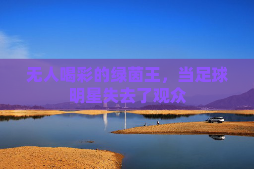 无人喝彩的绿茵王，当足球明星失去了观众