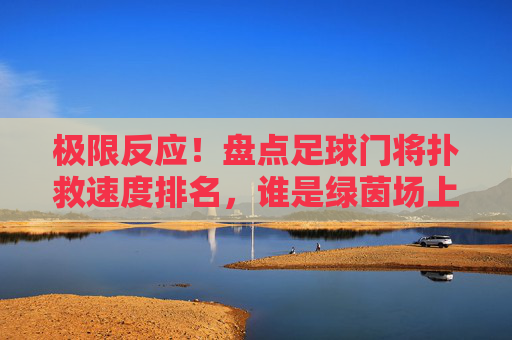 极限反应!盘点足球门将扑救速度排名,谁是绿茵场上的快门