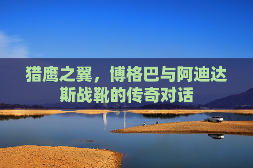 猎鹰之翼,博格巴与阿迪达斯战靴的传奇对话