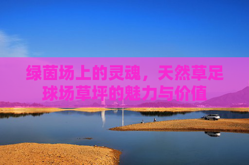 绿茵场上的灵魂，天然草足球场草坪的魅力与价值