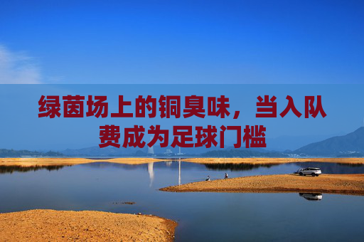 绿茵场上的铜臭味,当入队费成为足球门槛