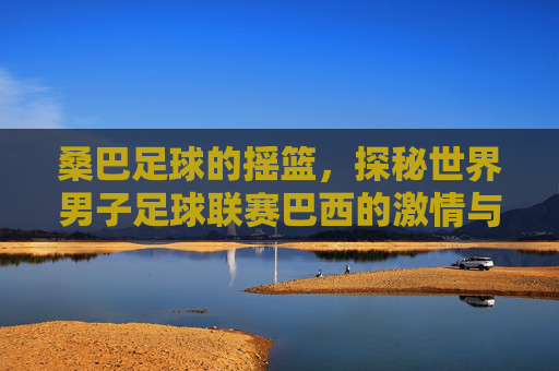 桑巴足球的摇篮,探秘世界男子足球联赛巴西的激情与荣耀