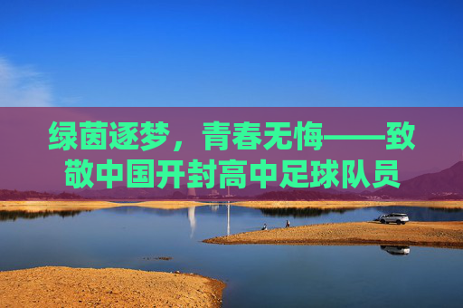 绿茵逐梦,青春无悔——致敬中国开封高中足球队员